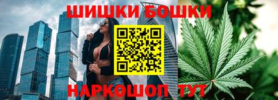 прущие грибы Ирбит