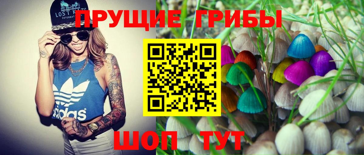 Котлас  Галлюциногенные грибы Psilocybine cubensis  Вход с VPN  наркотики  Псилоцибиновые грибы Cubensis 